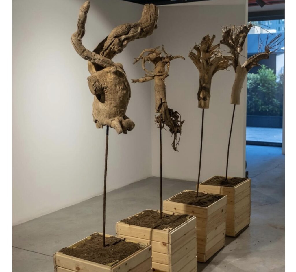 Başak Çolak Installation and Painting