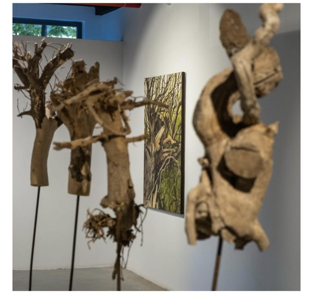 Başak Çolak Installation and Painting