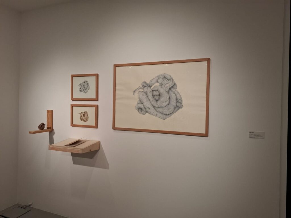 Akbank Sanat 43.günümüz sanatçıları ödül sergisi Başak Çolak