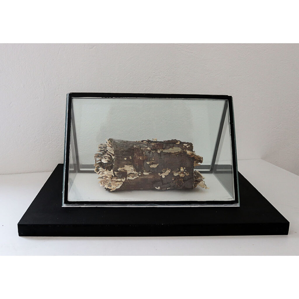 installation artwork başak çolak