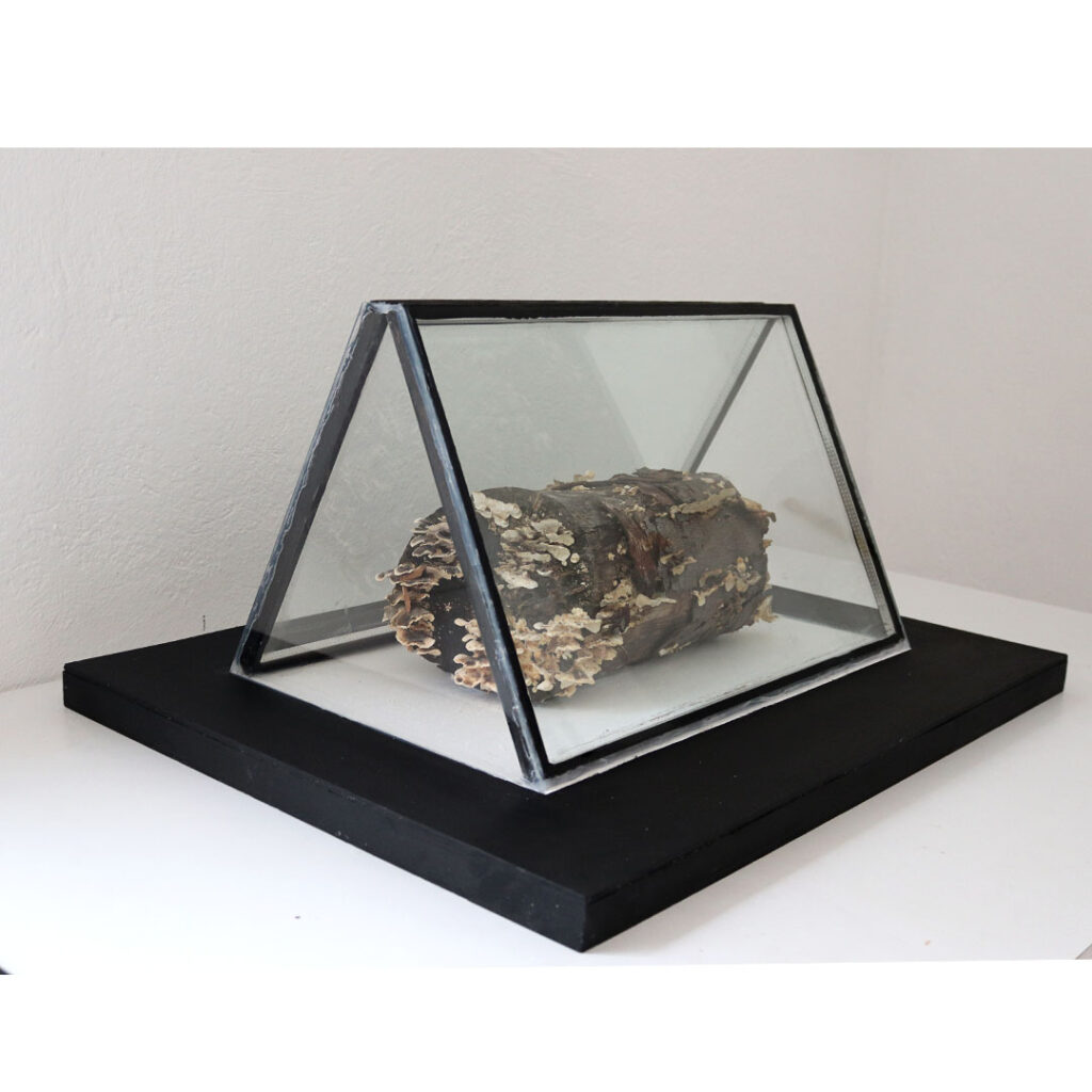 installation artwork başak çolak