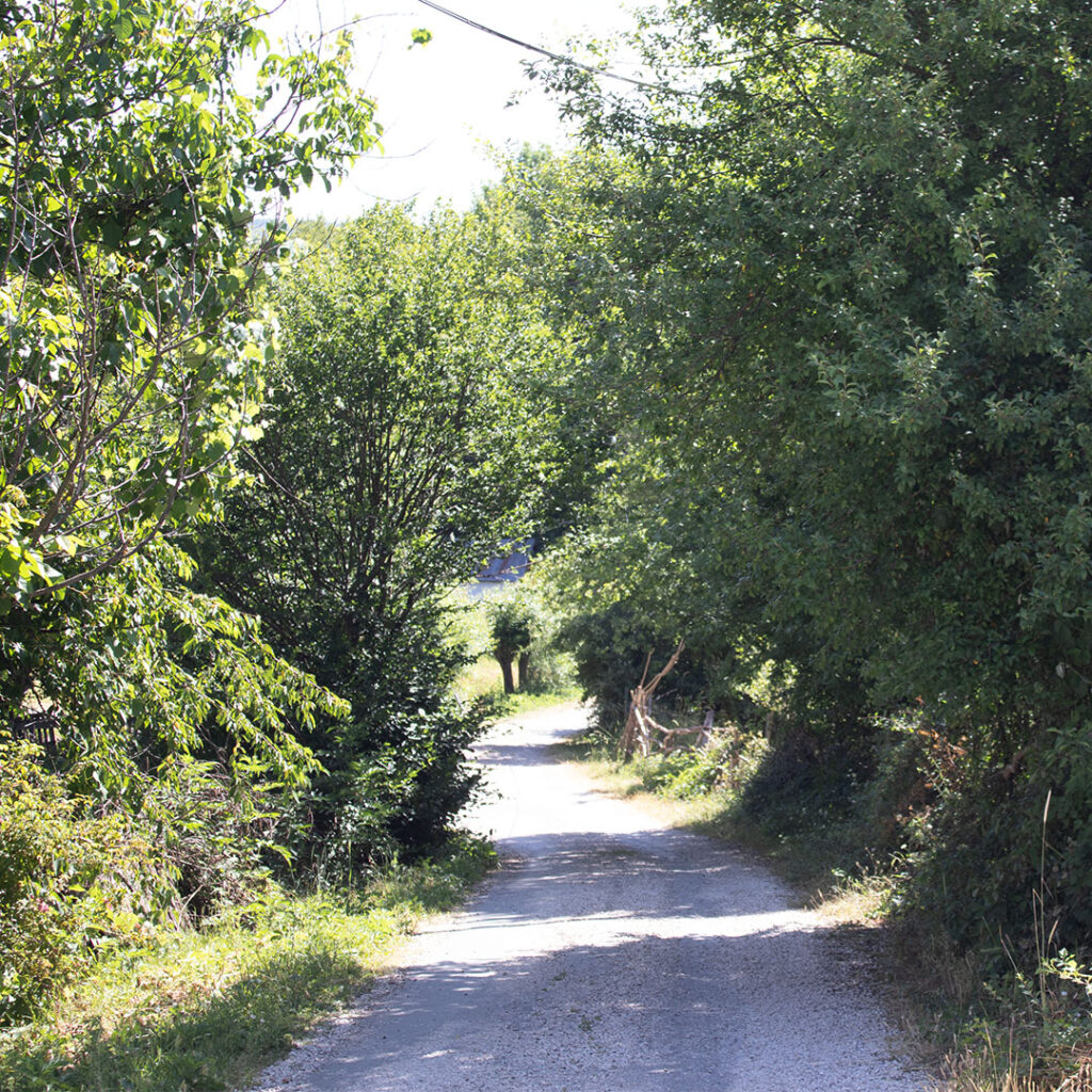 yasme residency program elmalık vilage, bolu, turkey