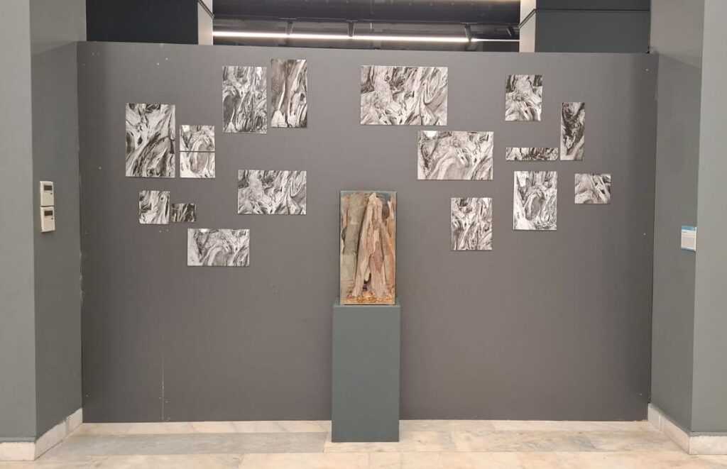 art exhibition Ankara/Türkiye 2025