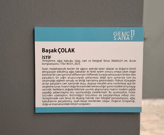 art exhibition Ankara/Türkiye 2025