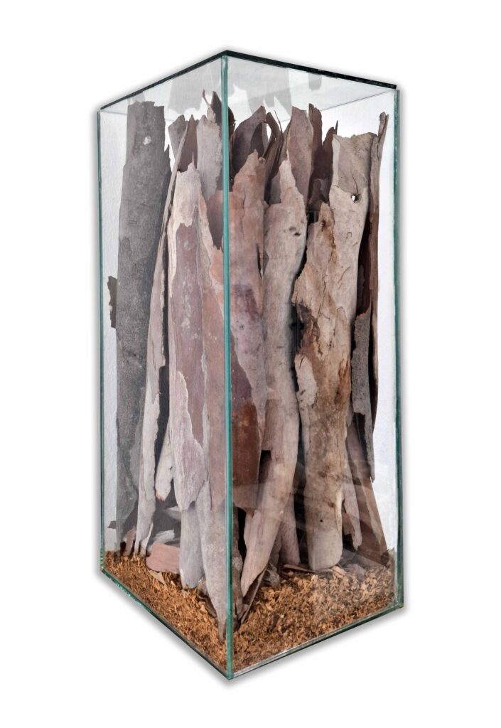 Accumulation Installation, 30x60x24 cm, 2025 Contemporary Art