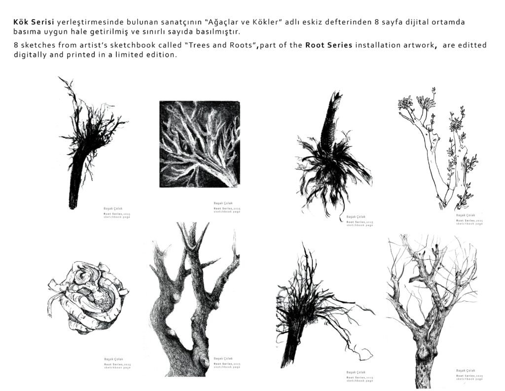 Roots and Trees sketchbook pages